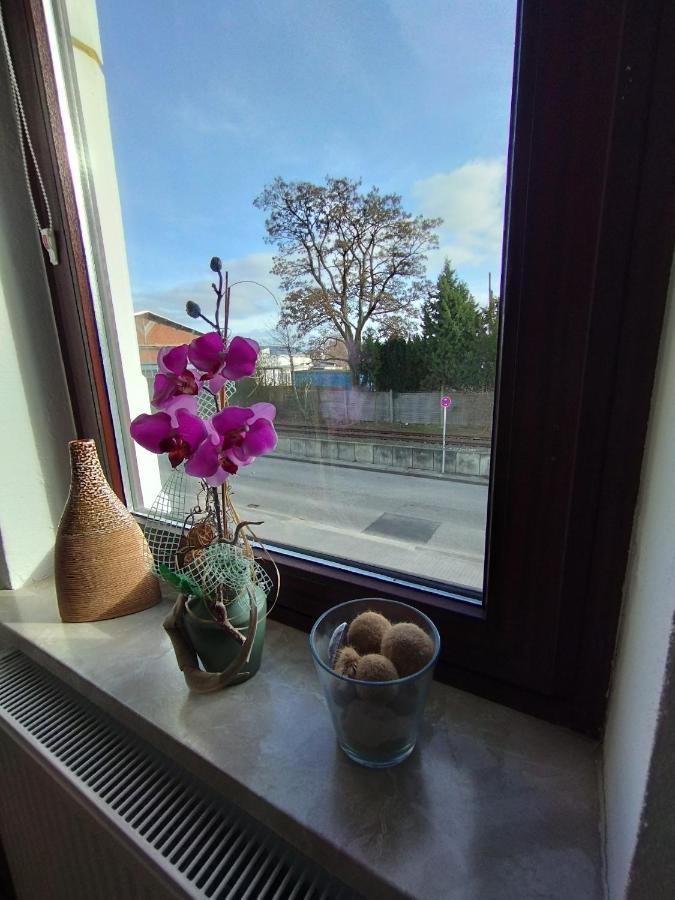 Sunny Side Apartment Kiel Exterior foto