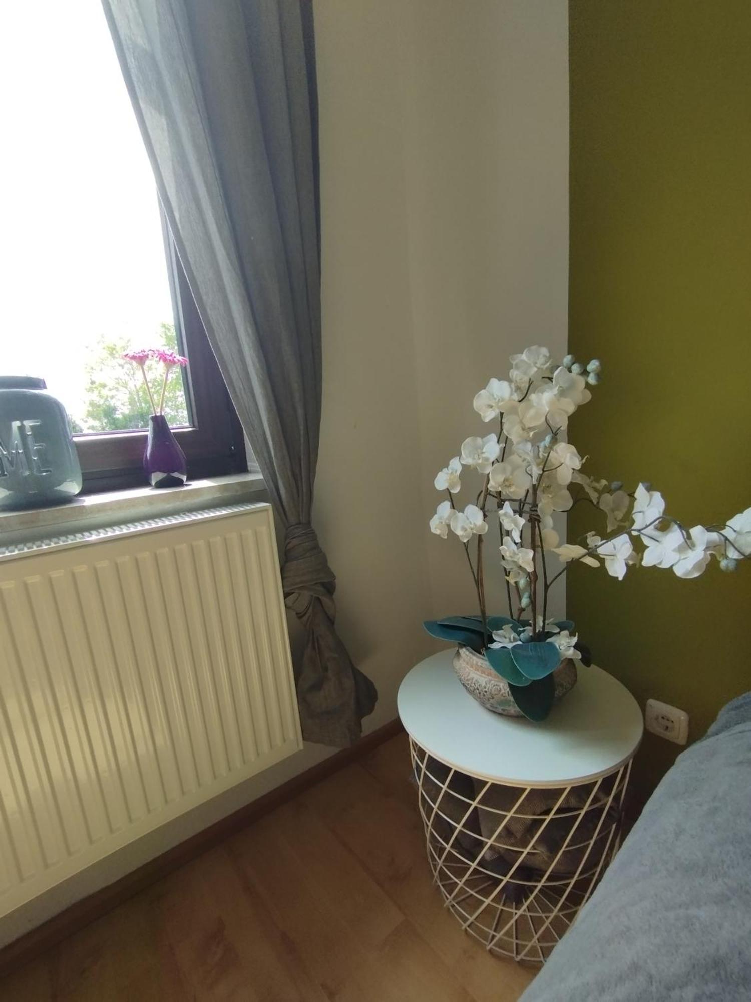Sunny Side Apartment Kiel Exterior foto